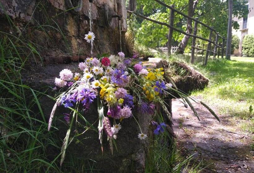 بنسيون Torre Camigliati Dimora Storica