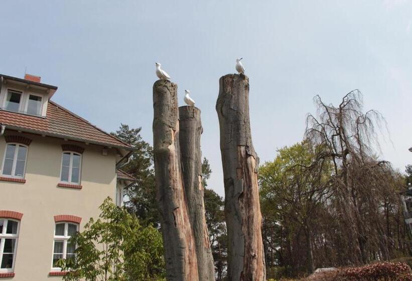 Pension Auf Der Düne