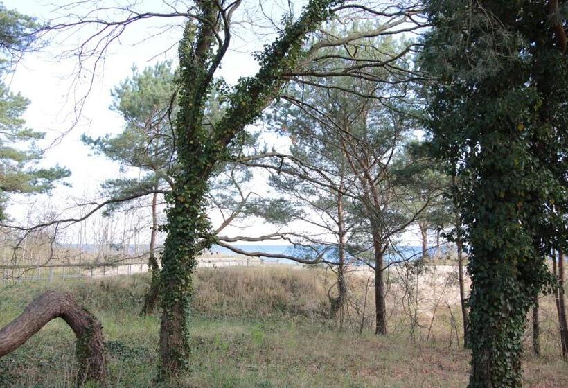 Pension Auf Der Düne