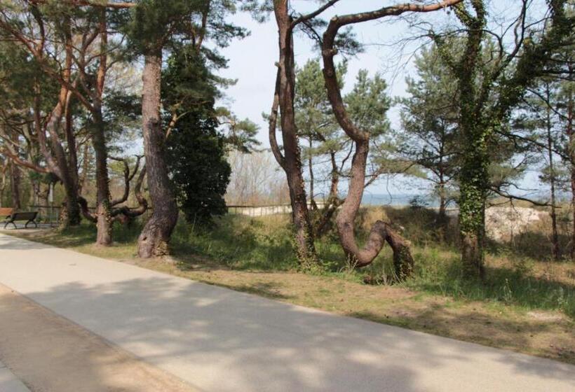 Pension Auf Der Düne