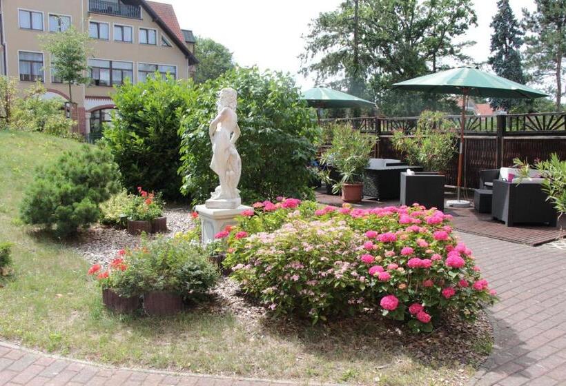 Pension Auf Der Düne