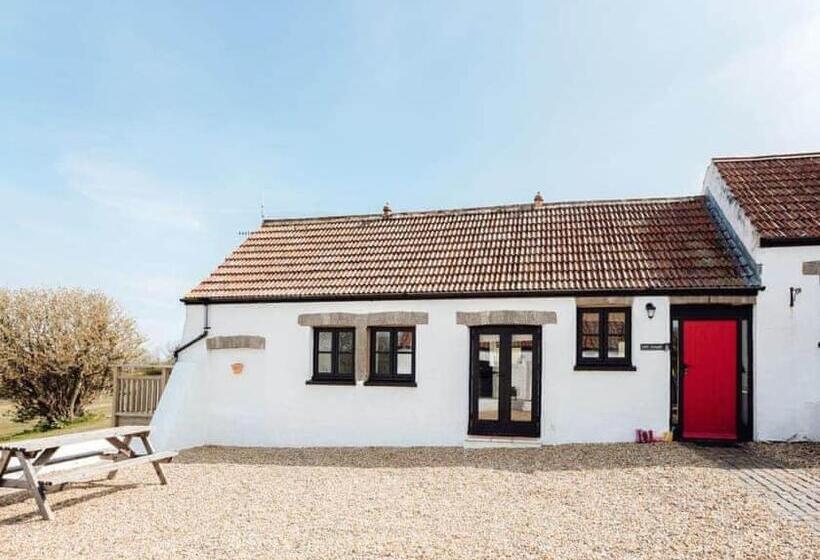 리조트 Celtic Haven