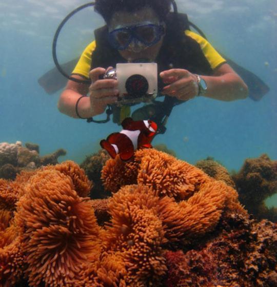 אתר נופש Flora Bay 1