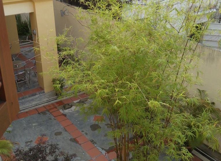 הוסטל Hutton Suites