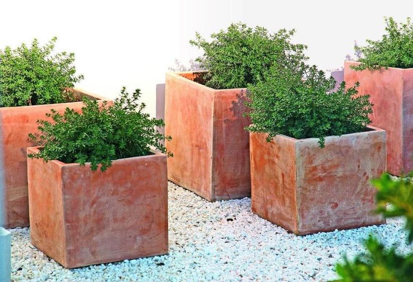 Cabot Sivella Apartments