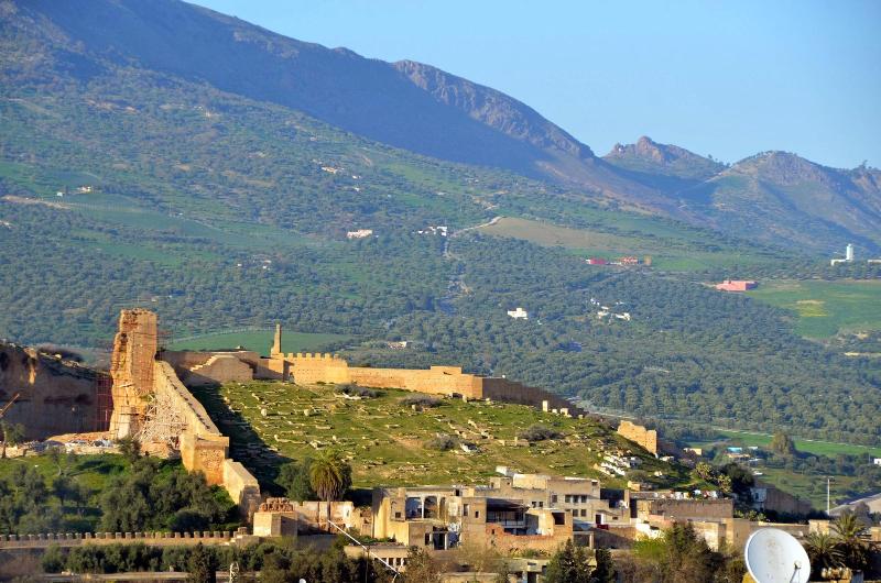 住宿加早餐  Riad Dar Tahri & Spa