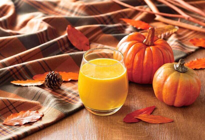 Comfort Hotel Toyohashi