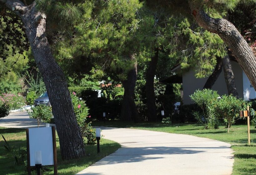 酒店 Bv Kalafiorita Resort