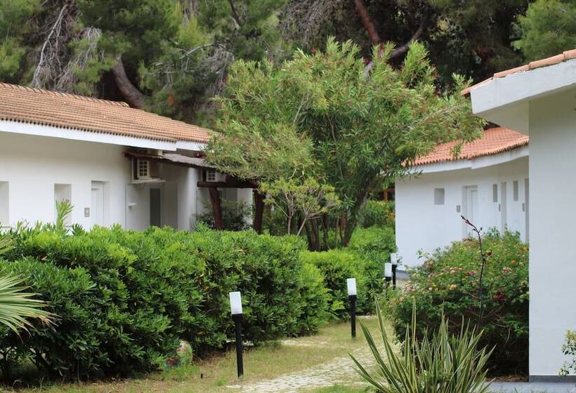 酒店 Bv Kalafiorita Resort