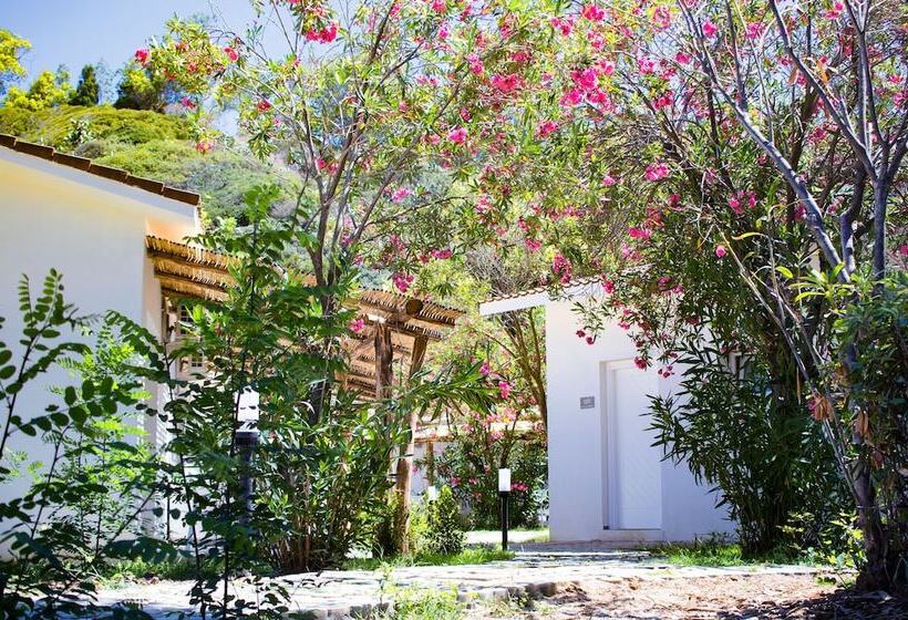 酒店 Bv Kalafiorita Resort