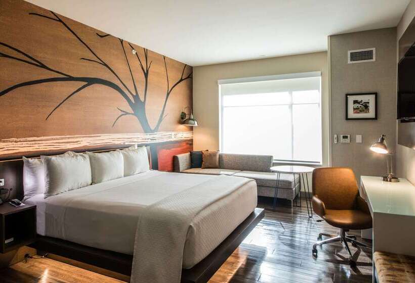 Cambria Hotel Mcallen Convention Center