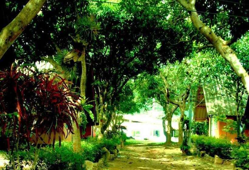 호텔 Cashewnut Tree Resort