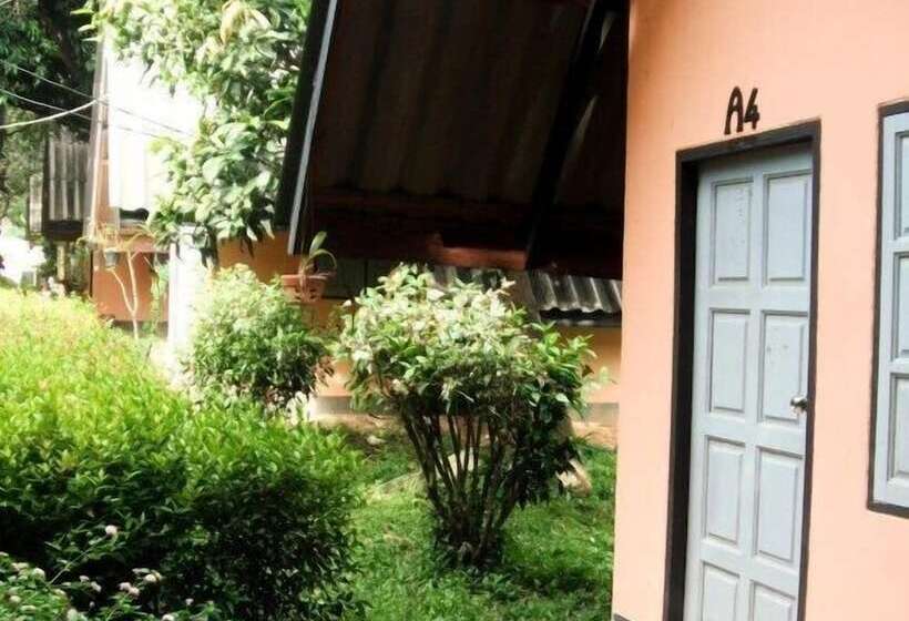 호텔 Cashewnut Tree Resort