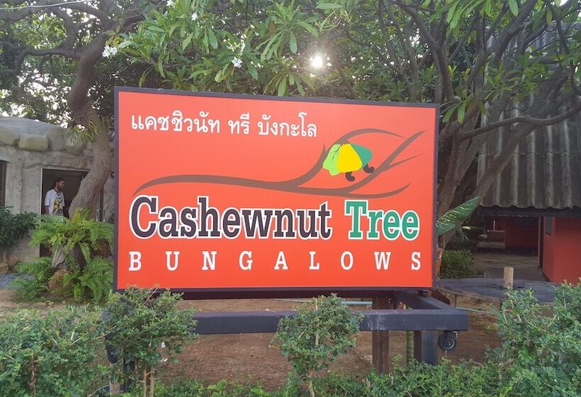 호텔 Cashewnut Tree Resort