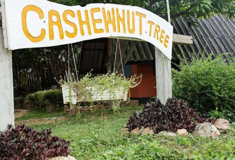호텔 Cashewnut Tree Resort