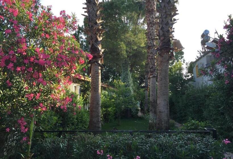 Отель Happy Caretta