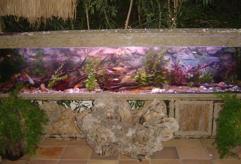 Отель Happy Caretta