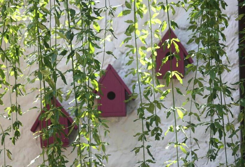 Отель Happy Caretta