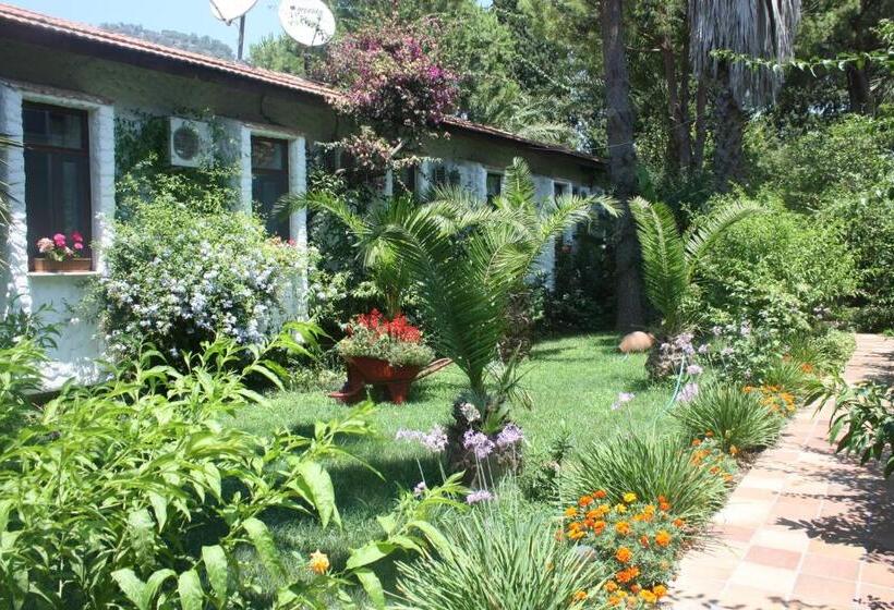 Отель Happy Caretta