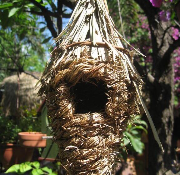 Отель Happy Caretta