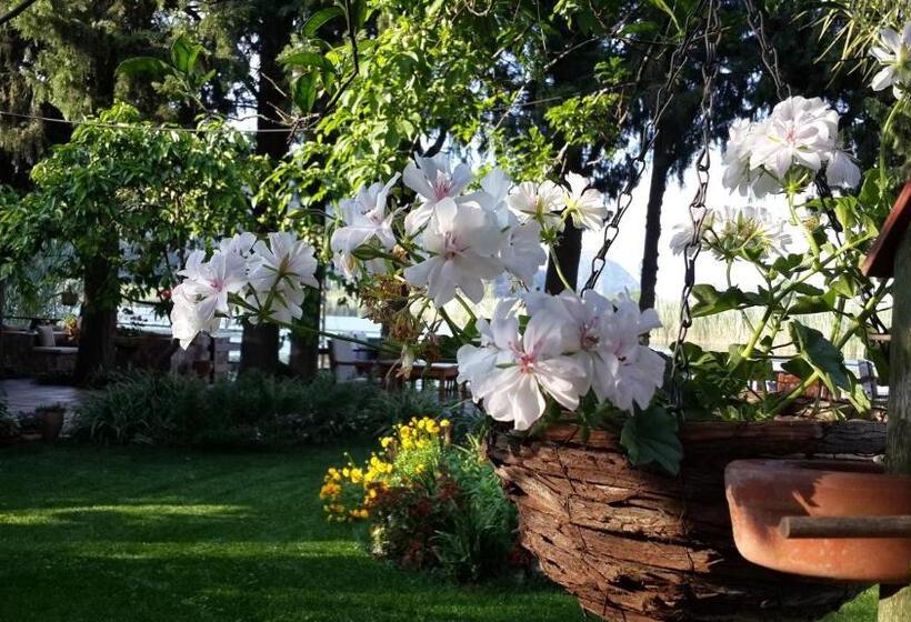 Отель Happy Caretta