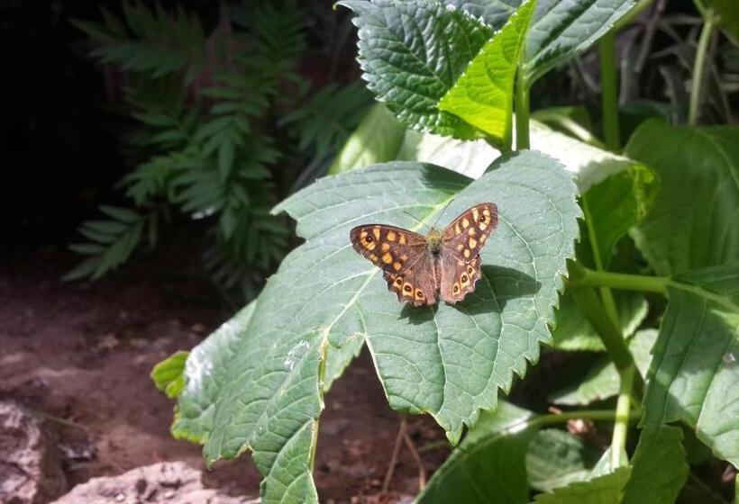 Отель Happy Caretta