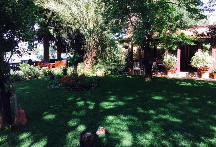 Отель Happy Caretta