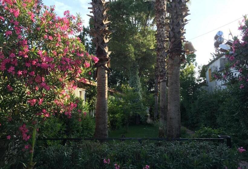 Отель Happy Caretta