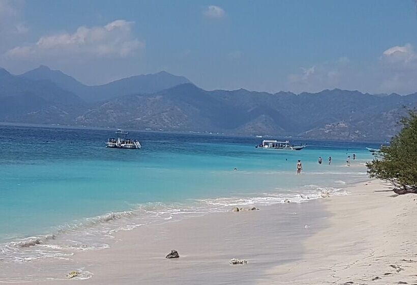 ホテル Kura Kura Beach Resort