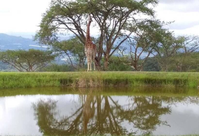 בית מלון כפרי Muluwa Lodge