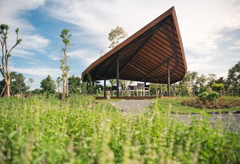 ホテル North Hill City Resort Sha Extra Plus