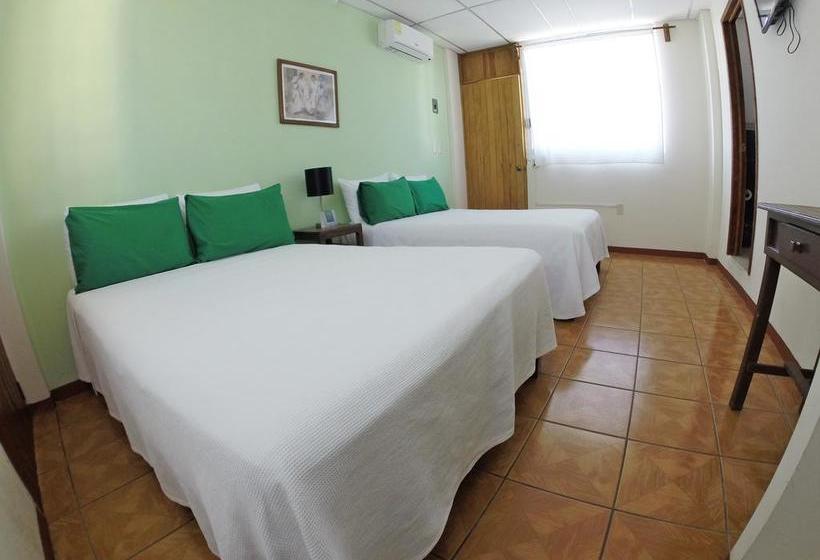 ホテル Puerto Piedra