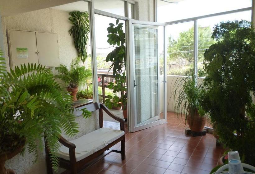 ホテル Puerto Piedra