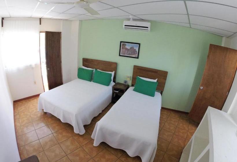 ホテル Puerto Piedra