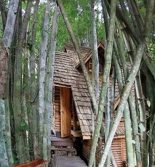 호텔 Rabeang Pasak Treehouse Resort