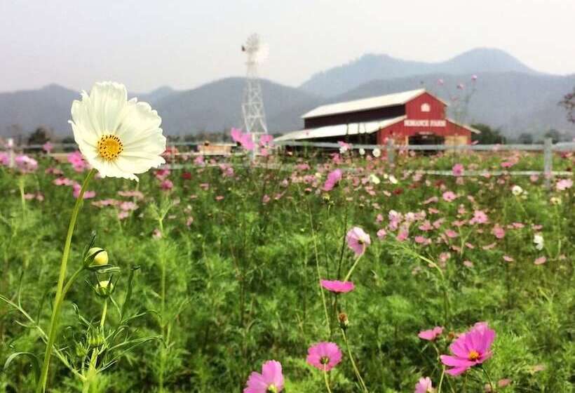 בית מלון כפרי Romance Another Story In Pai