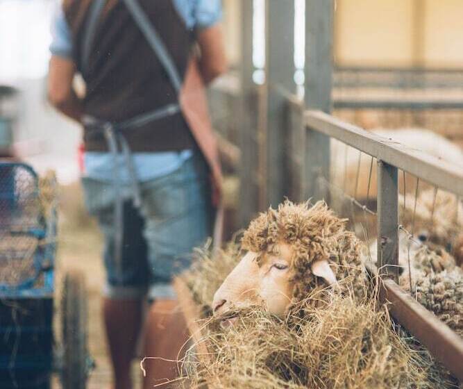 בית מלון כפרי Romance Another Story In Pai