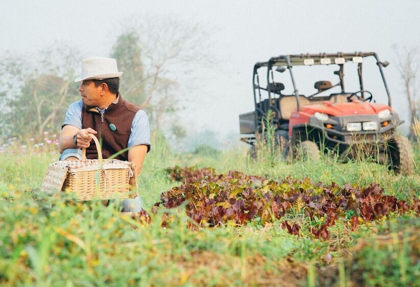 בית מלון כפרי Romance Another Story In Pai