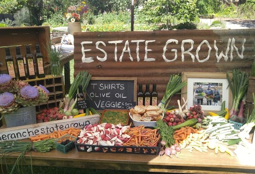 교외 호텔 Beltane Ranch