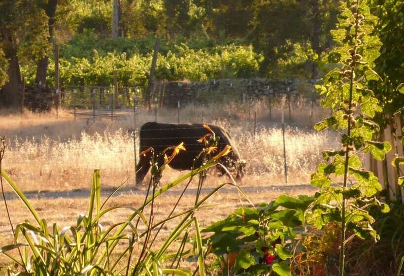 교외 호텔 Beltane Ranch