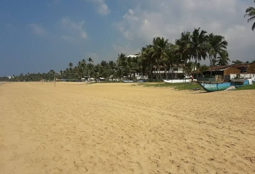 Отель Sea Front Hikkaduwa