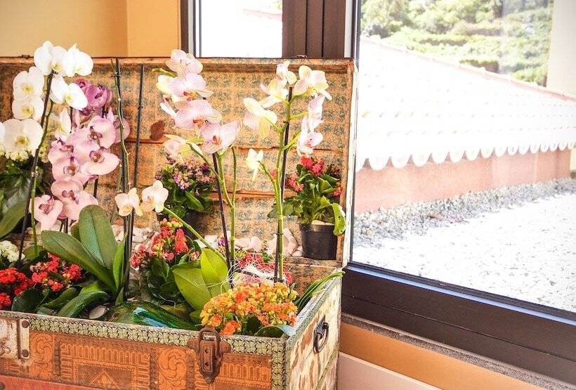 فندق Solar Bom Jesus