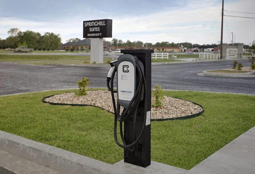 בית מלון כפרי Springhill Suites By Marriott Murray