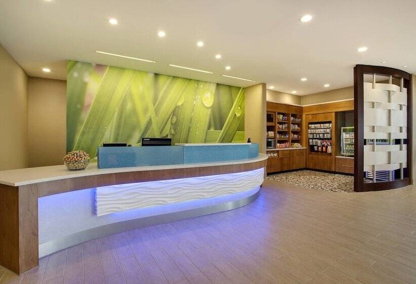 בית מלון כפרי Springhill Suites By Marriott Murray