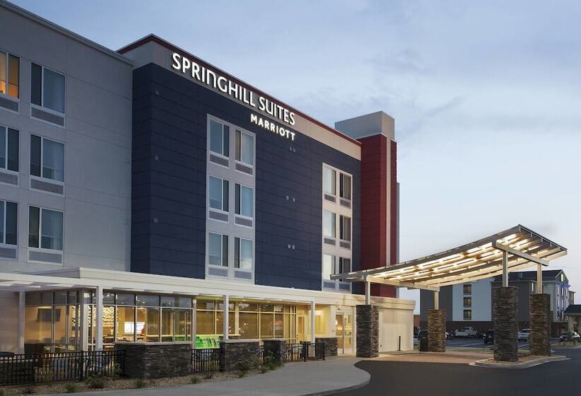 בית מלון כפרי Springhill Suites By Marriott Murray