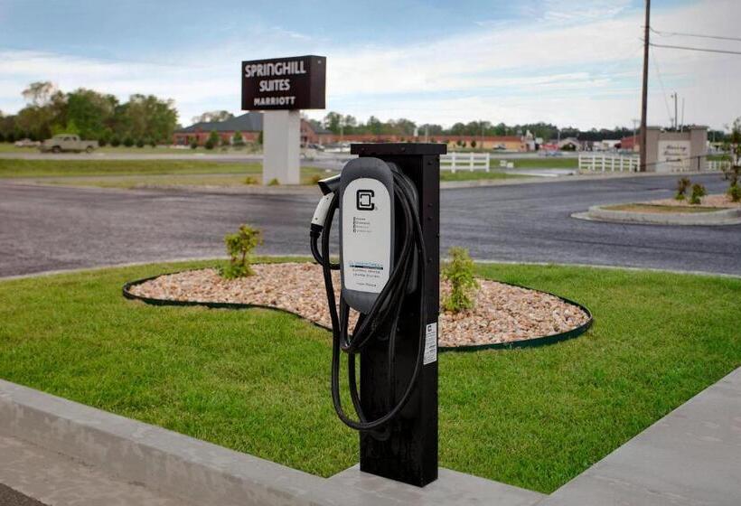 בית מלון כפרי Springhill Suites By Marriott Murray