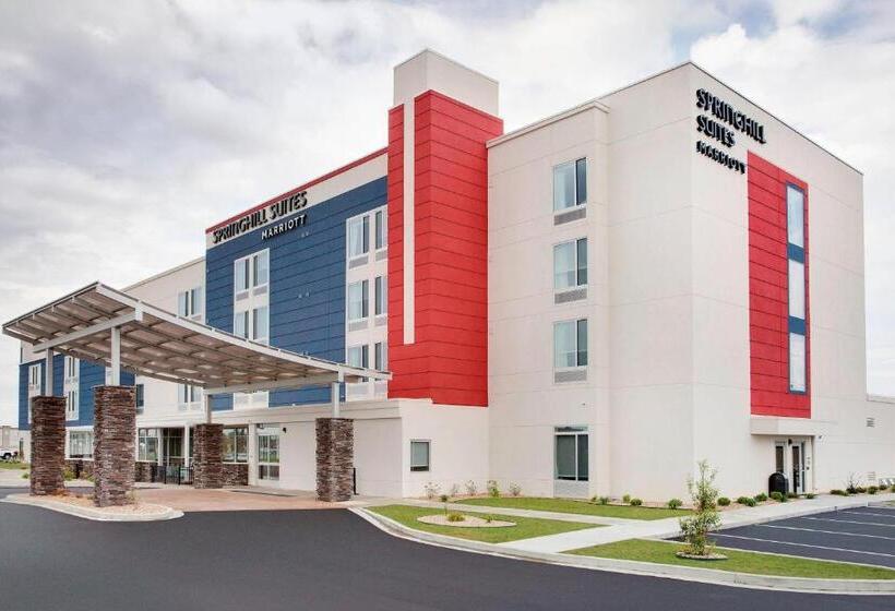 בית מלון כפרי Springhill Suites By Marriott Murray