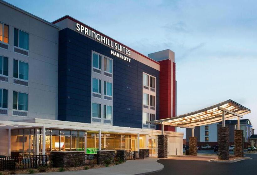 בית מלון כפרי Springhill Suites By Marriott Murray
