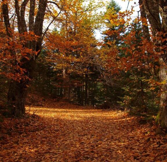 בית מלון כפרי Ta Petrina