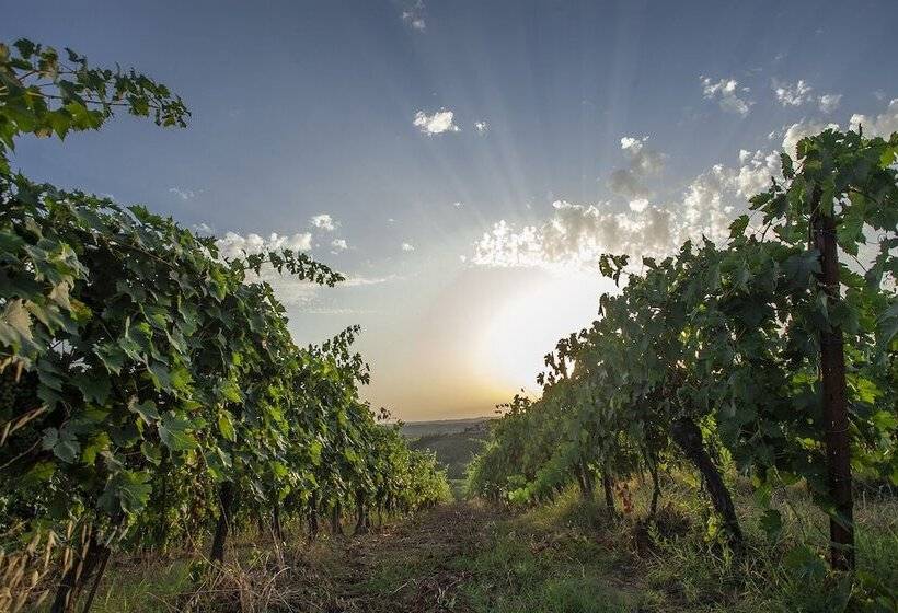 هتل Tenuta Moriano